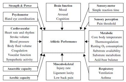 Women Athletes A Guide To Menstrual Cycle Hormonal Changes