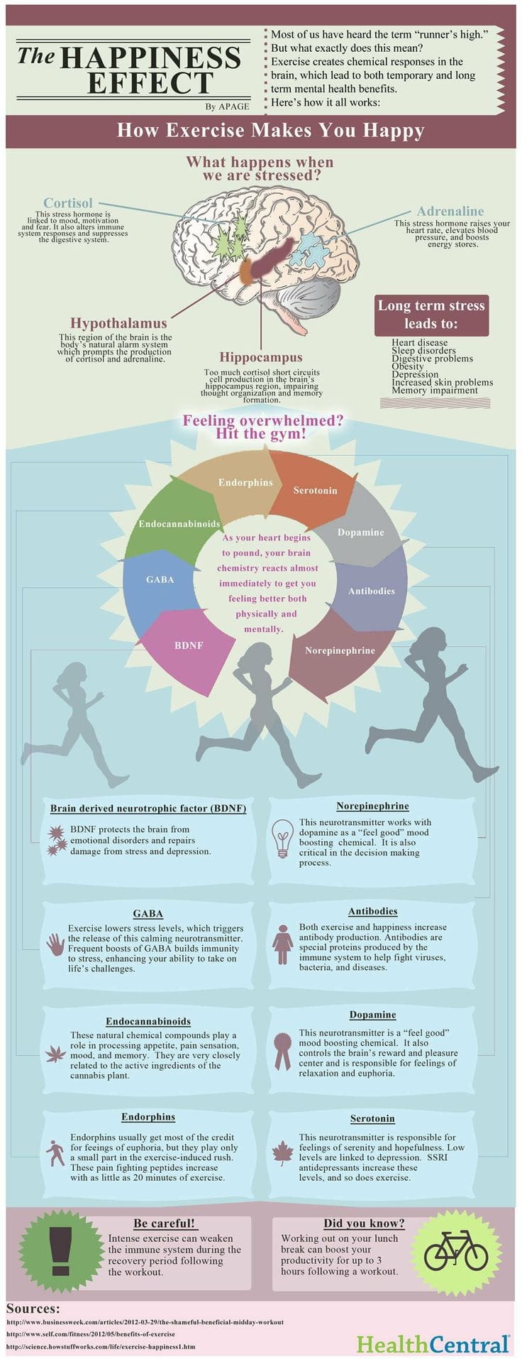 10 Important CrossFit and Training Related Infographics, BOXROX