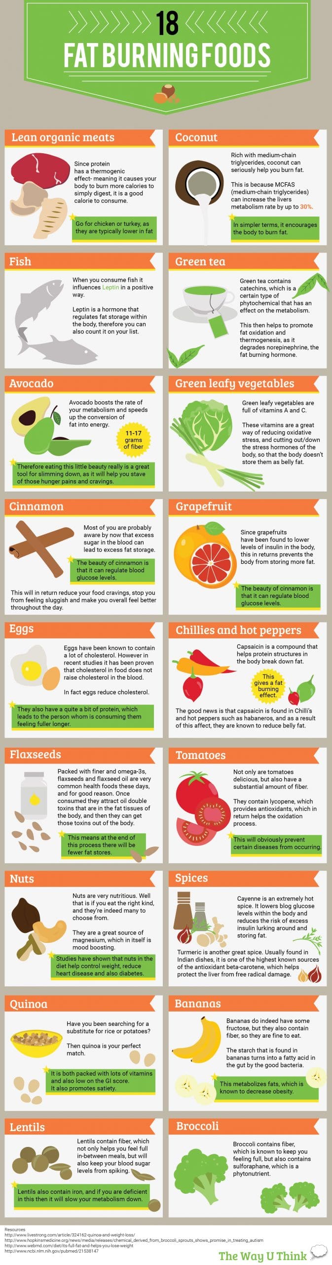 19 FAT BURNING FOODS-01 pic changed