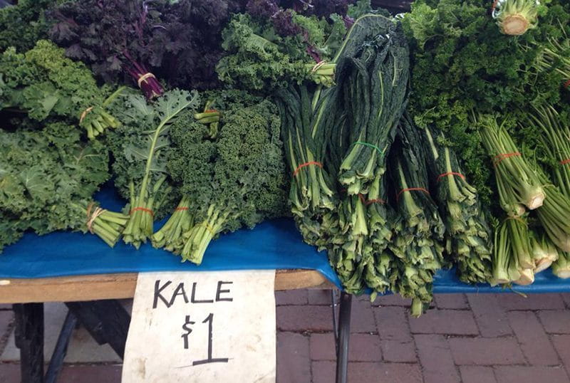 Vegan Diet Kale and dark leafy veg