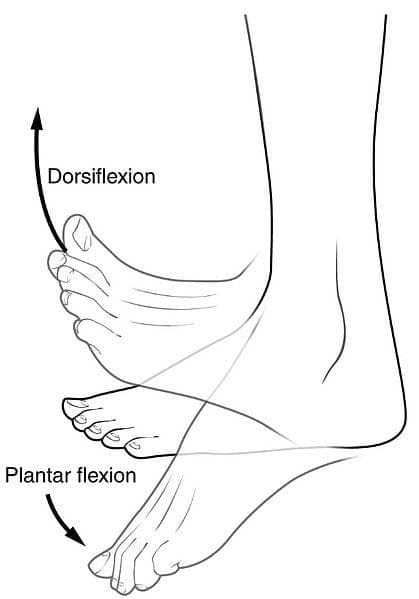 3-Way Ankle Mobility