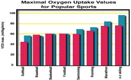 The Importance Of Developing A Strong Vo2 Max For Crossfitters