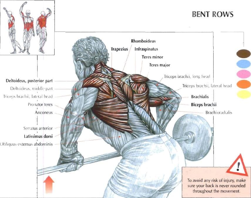 Bar row online workout