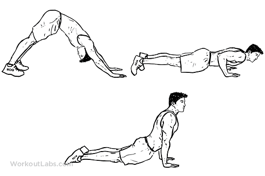 press up variations dive press up