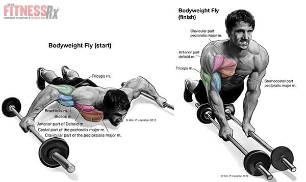 bodyweight flyes exercise press up