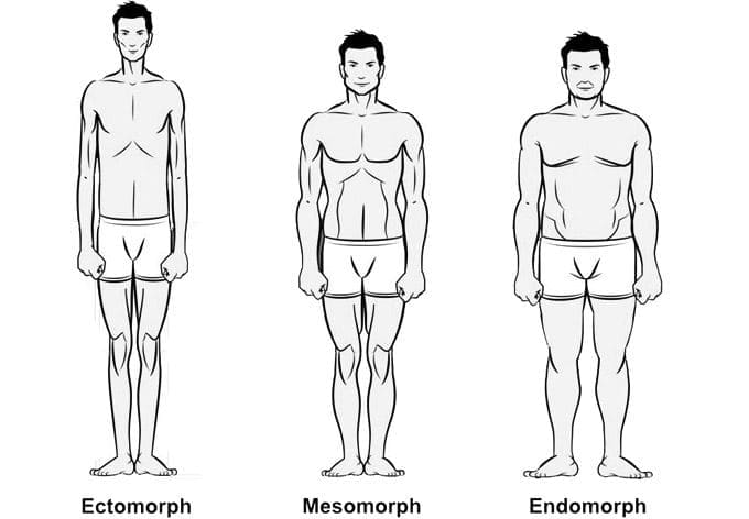 Crossfit ectomorph online