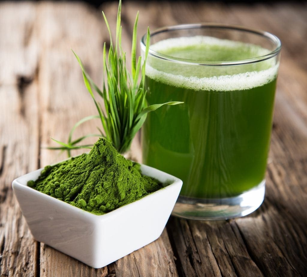 wheatgrass