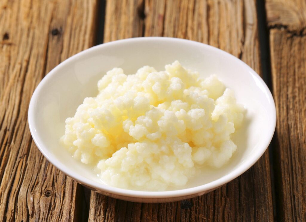 kefir grains