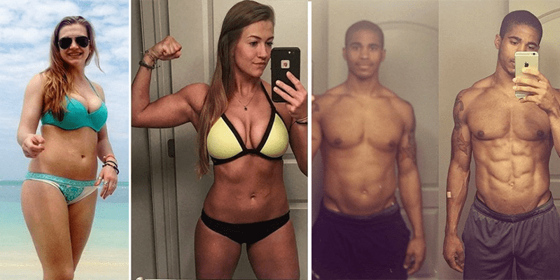 Shed Fat Body Transformations