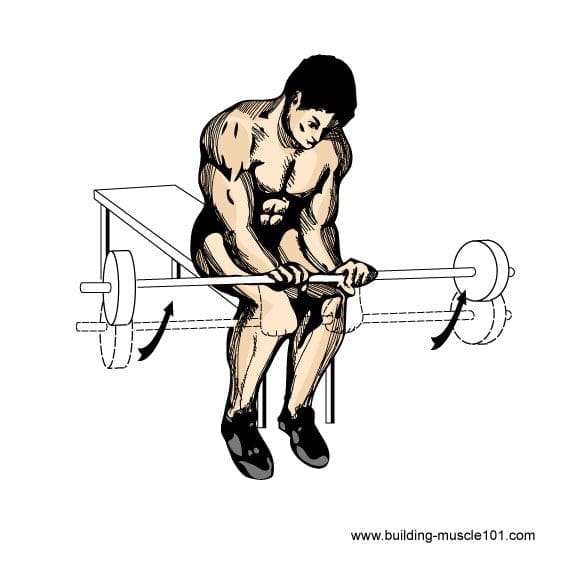 Barbell Arm Exercises to Build Muscle and Unstoppable Strength
