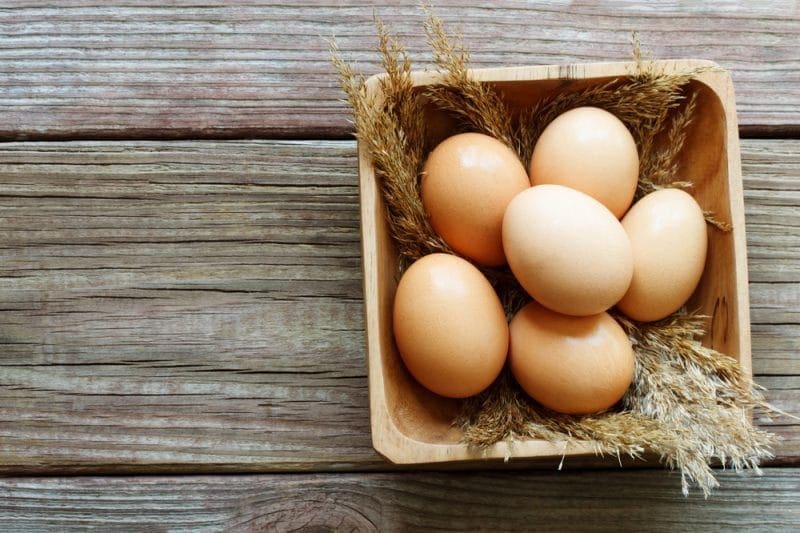 Vegetarian Friendly Food to Help Build Muscle - eggs