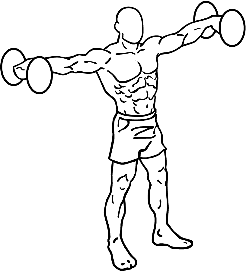 Dumbbell arm exercises 