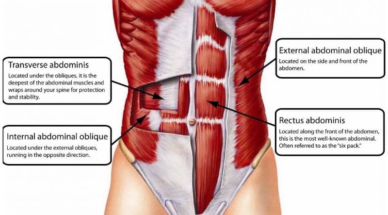 sit ups results