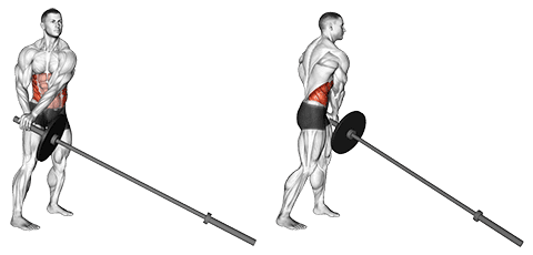 Barbell abdominal exercises new arrivals