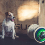 full body crossfit workouts dumbbell clean