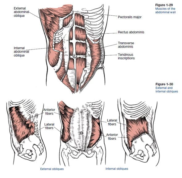 10 Best Crossfit Abs Workouts To Test Your Strength Through Different Planes Of Motion Boxrox