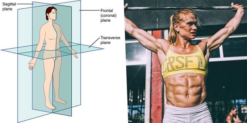 The Ultimate Abs Hypertrophy Guide for Men and Women
