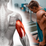 Tricep Dips WODs skull crushers Perfect Triceps Workout Isolation Exercises dumbbell skull crusher Exercises to Force Arm Growth