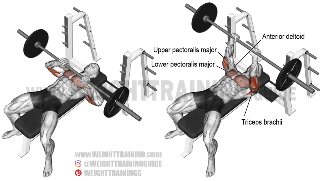 CrossFit Dumbbell Arm Workout