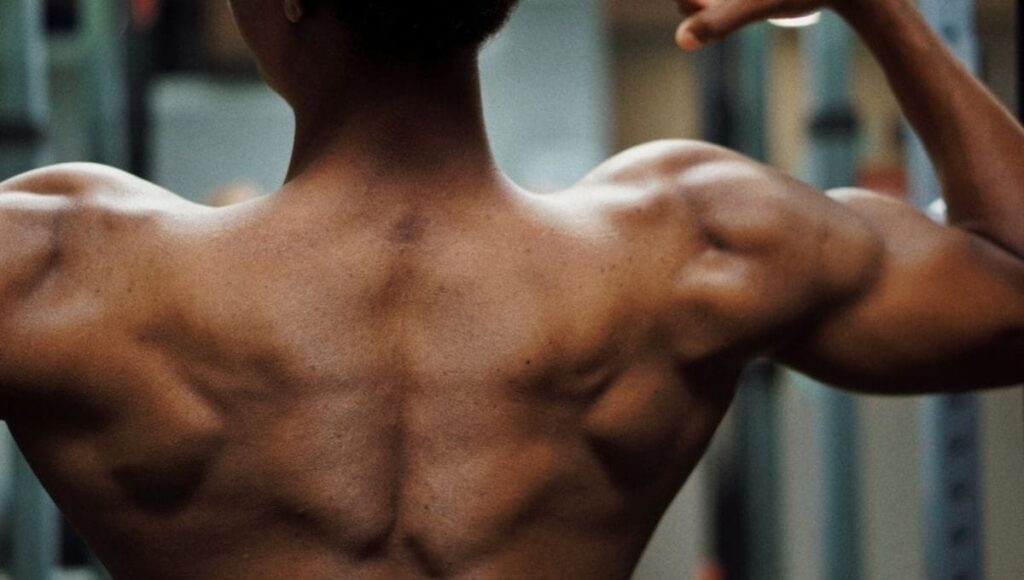 How to Grow Your Rear Delts Fast