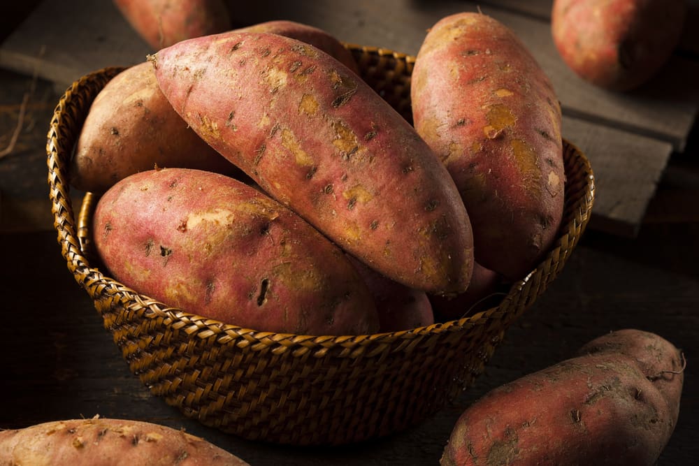 sweet potato