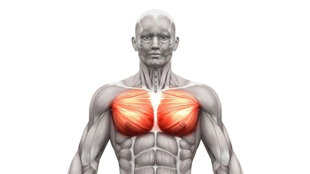 Complete chest online workout