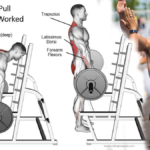Rack-Pulls-and-Rich