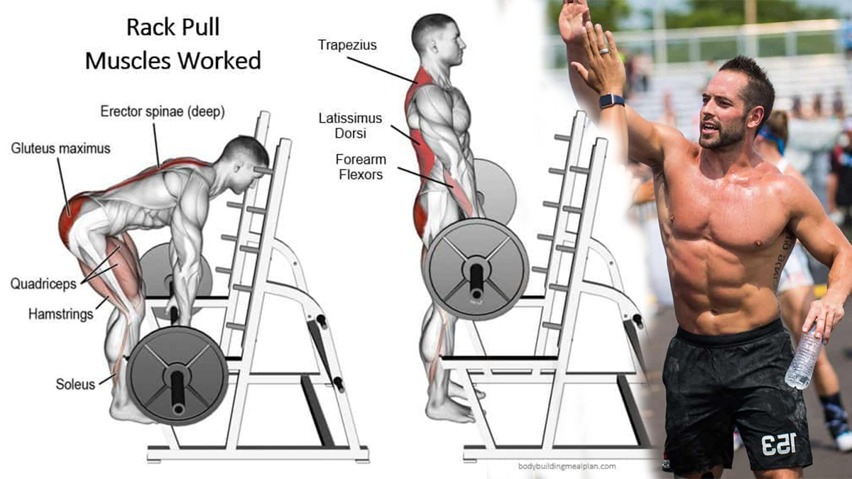 Rack Pulls Guide - Muscles Worked, Benefits, Technique and Variations | BOXROX