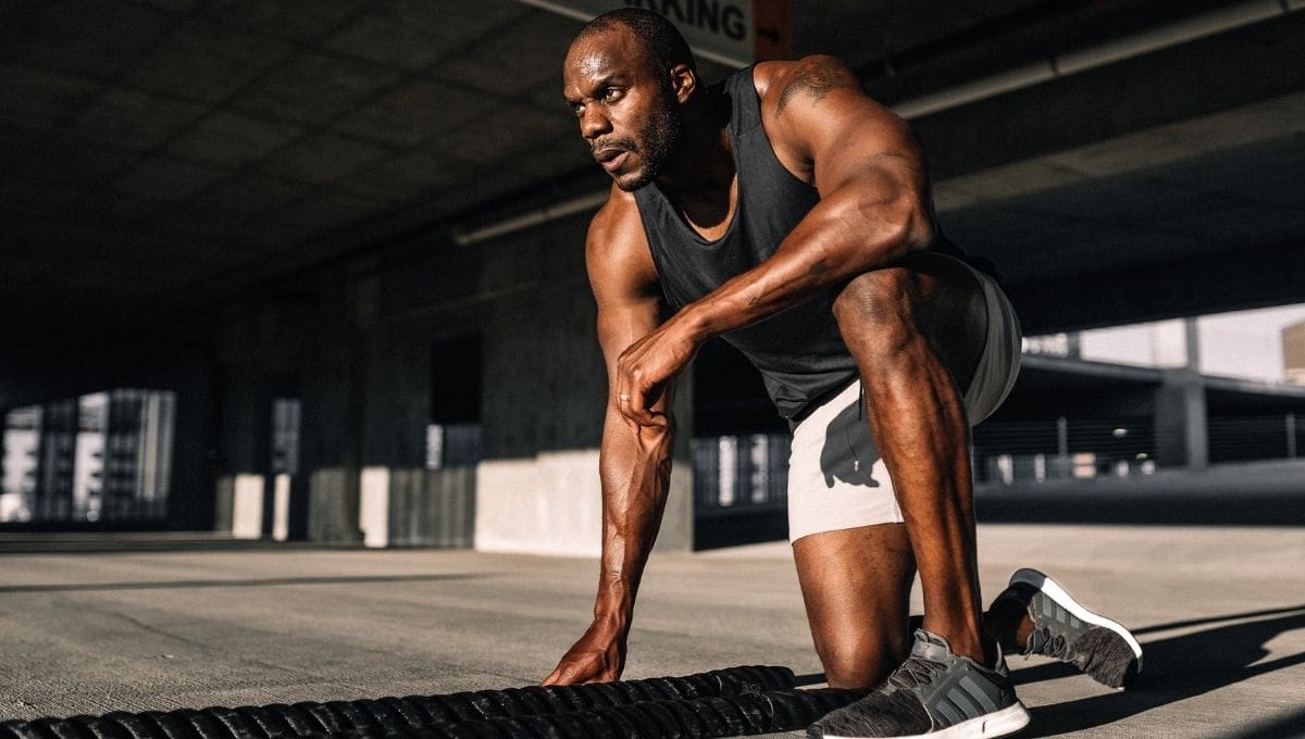 https://image.boxrox.com/2021/10/Workout-to-Fix-Skinny-Arms.jpg