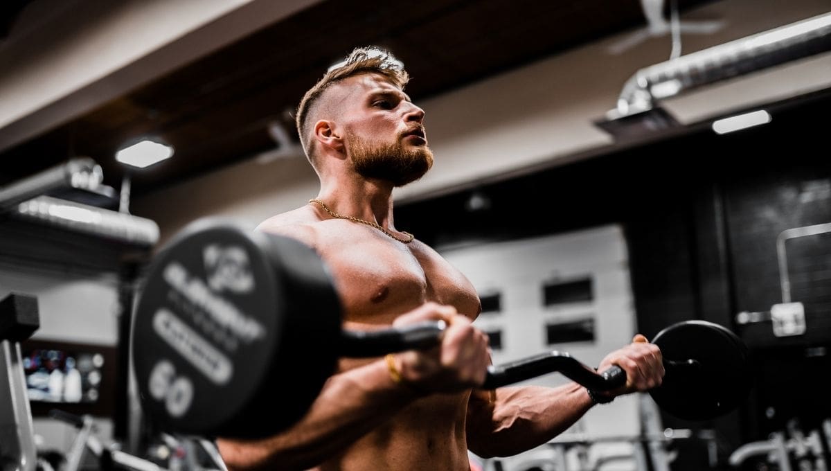 man trains powerbuilding with barbell curls