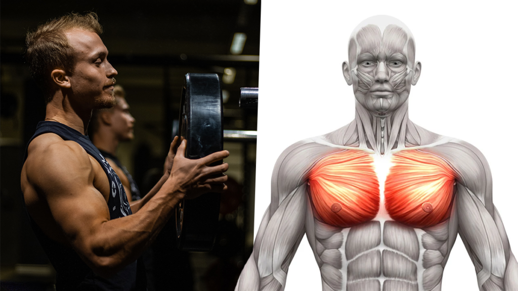 Shoulder pain chest discount press