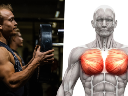 Say Goodbye to the Bench Press: 5 Insanely Effective Chest-Building  Alternatives