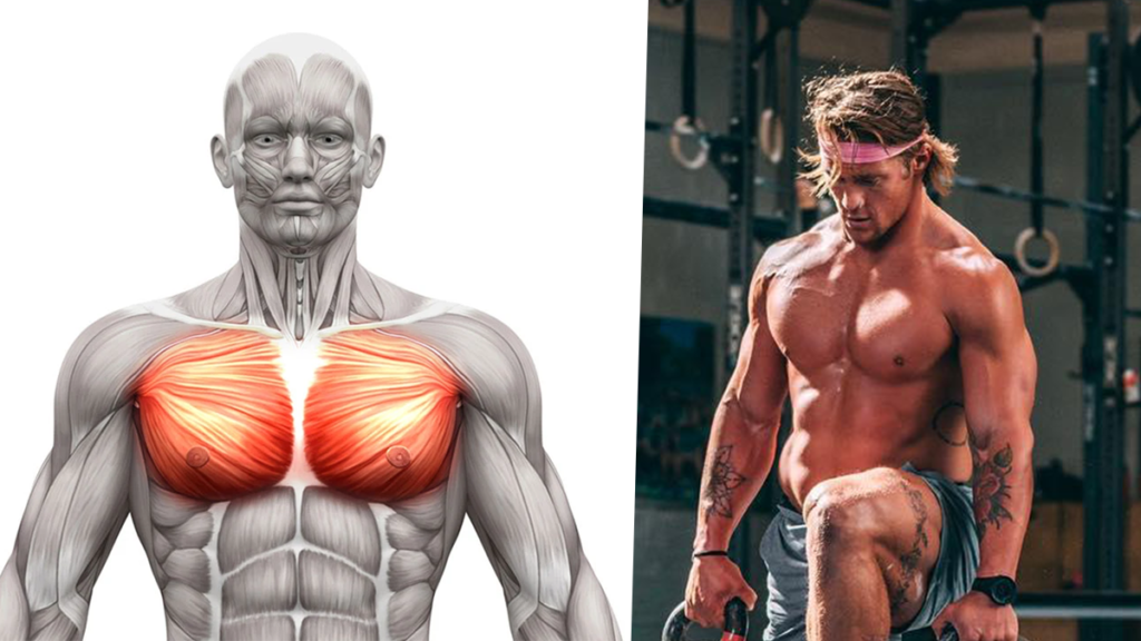 Middle pec online workout