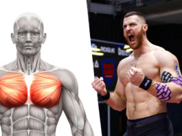 Chest-muscles-of-athlete Best Lower Chest Solution to Get Defined Pecs how to bulk up fast The Perfect Chest Workout Best Exercises for a Bigger Chest Benefits of The Incline Barbell Press Benefits of Dumbbell Floor Press Grow a Bigger Chest