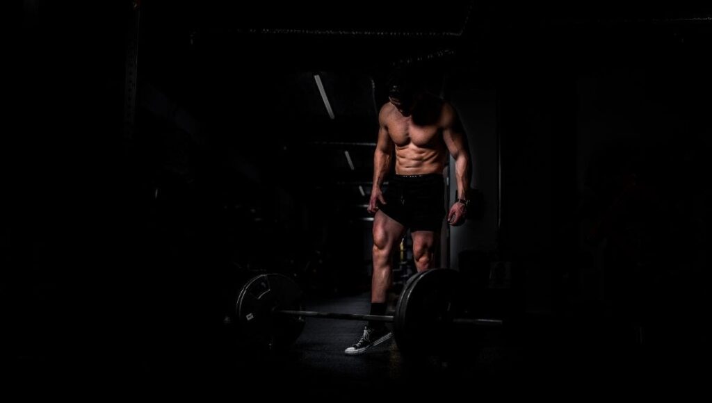 Build Muscle: Top Training Programs to Gain Size and Mass