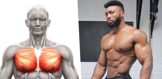 Upper-Body-Chest-Muscles How to Get that Shredded Look Fast Rare Upper Chest Exercises Brutal 100 Rep Chest Workout