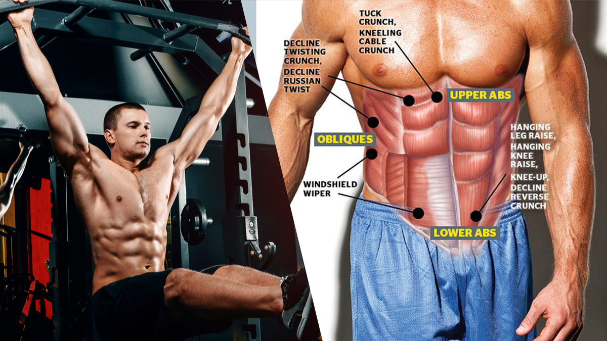  Perfect Fitness Ab Straps : Abdominal Trainers