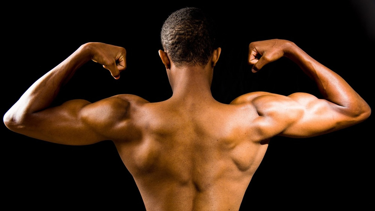 muscular backs