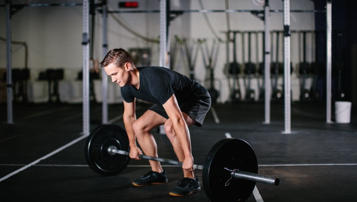 Barbell workout online beginner