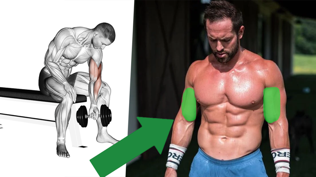 10 Biceps Exercises Better than Traditional Curls | BOXROX