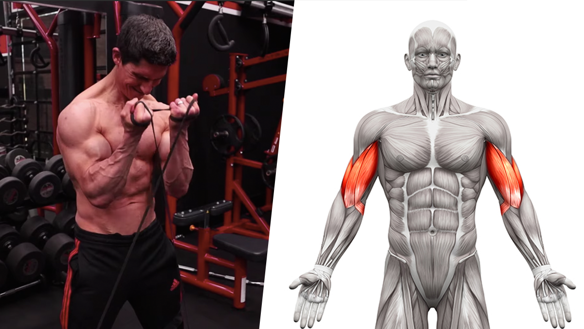 Biceps & Triceps Workout for Building Mass