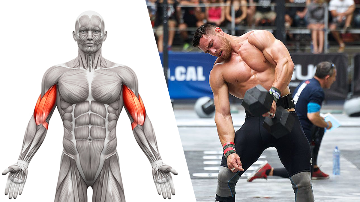 4-science-based-tips-to-get-bigger-arms-fast-boxrox