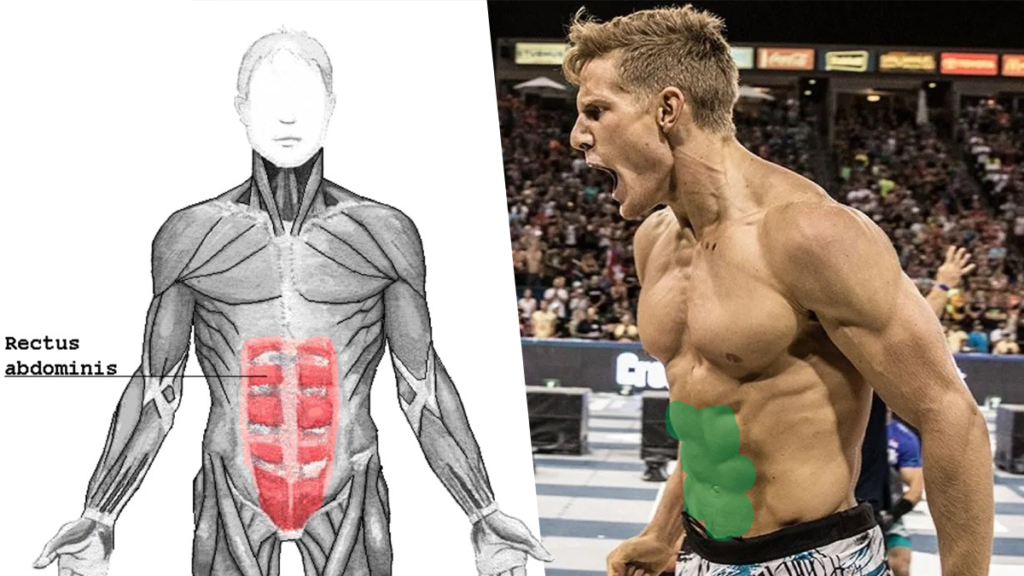 The ONLY 7 Ab Exercises you Need for a Six Pack | BOXROX