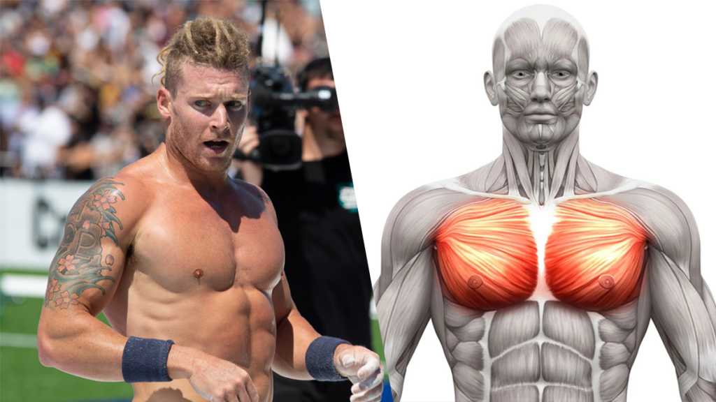 Chest-Muscles-James-Newbury Der beste Weg, um die Brust für Hypertrophie zu trainieren - Schrägbankdrücken Bauen Sie mehr Muskelmasse für die untere Brust auf. Wie Sie in 22 Tagen eine größere Brust bekommen