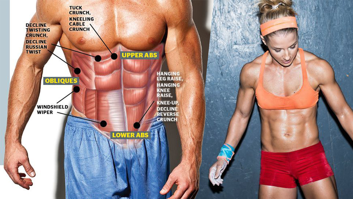 No More Love Handles How to Transform Your Body BOXROX