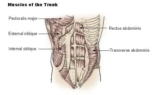 Oblique Exercises Without Equipment