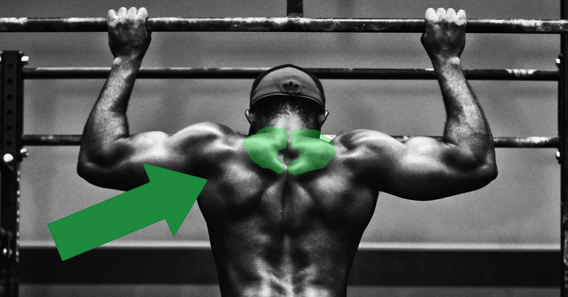 The 5 BEST Exercises To Build Bigger Traps