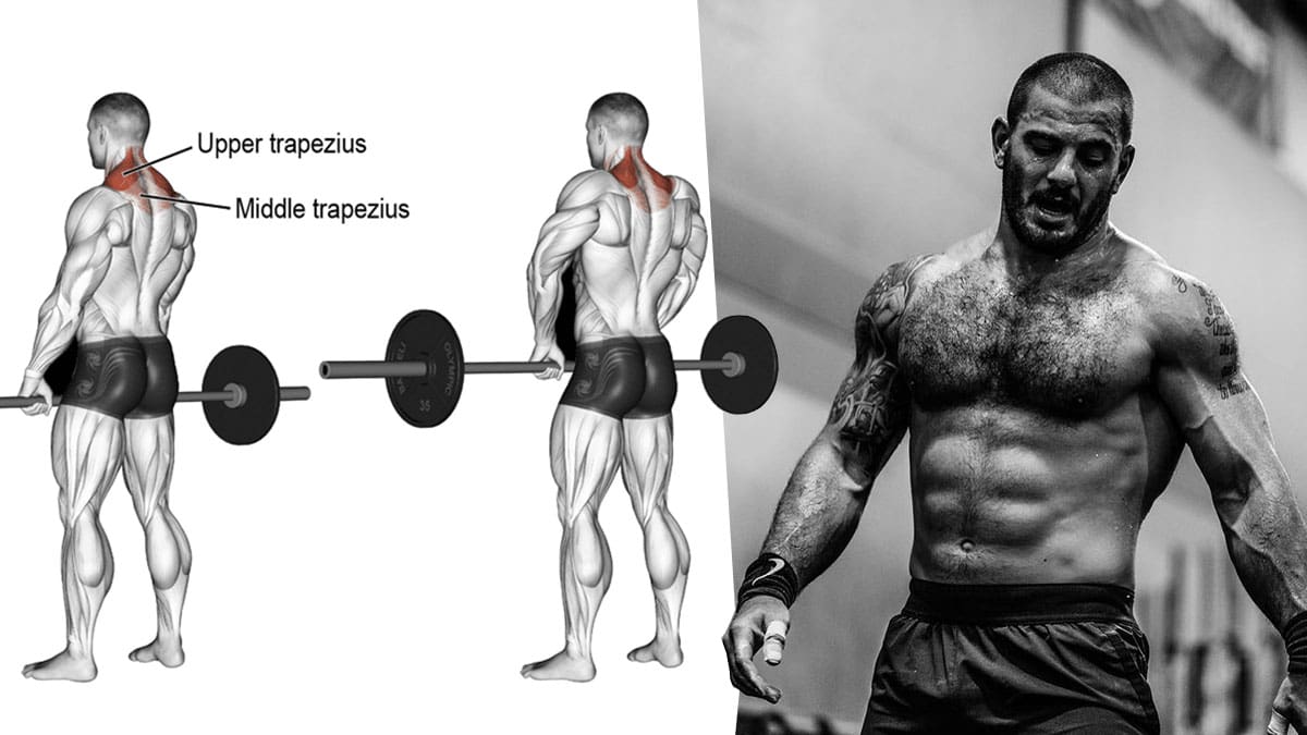 Traps-and-Barbell-Shrug