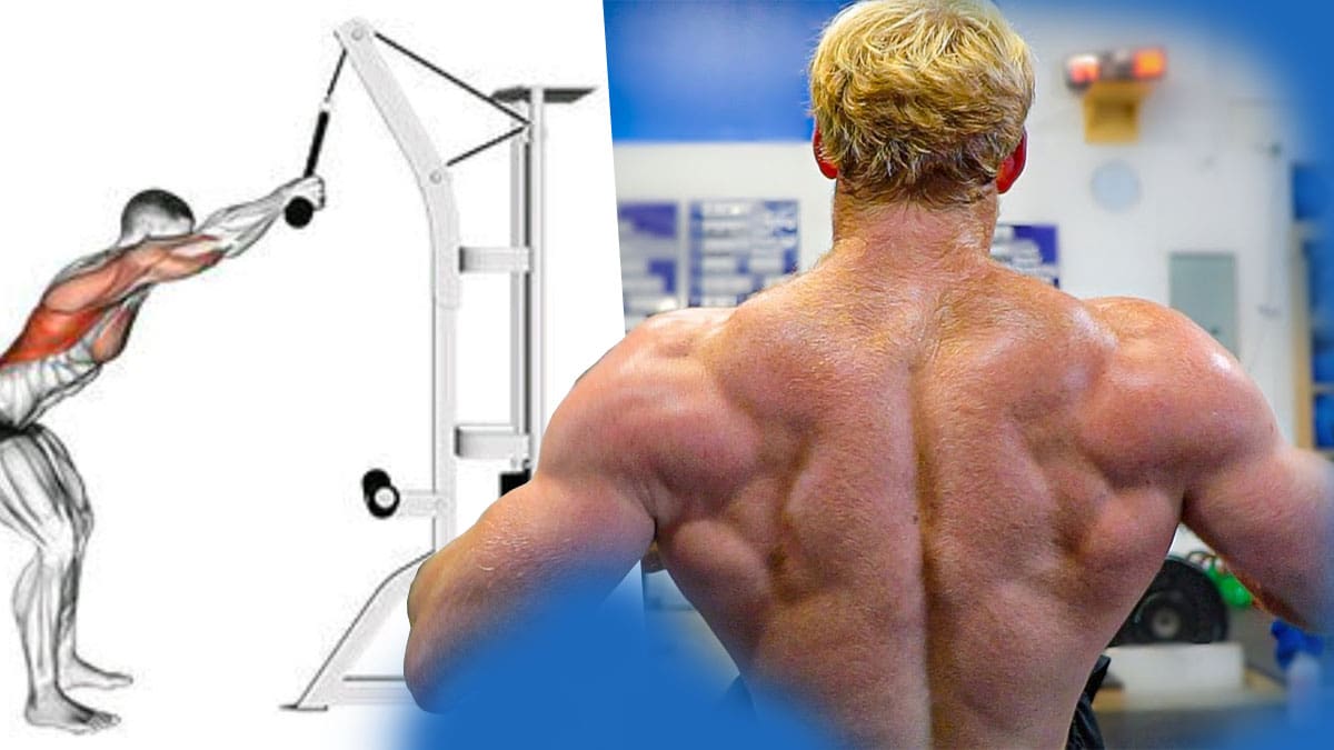 Best workout 2025 for lats mass