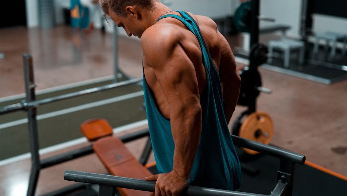 Best tricep best sale exercises for size